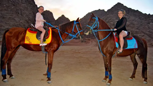 Desert Horse Riding Excursion in Sharm El Sheikh