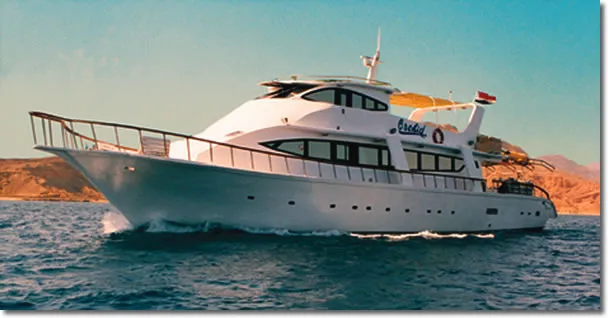 Full Day Trip to Ras Mohamed National Park by Boat