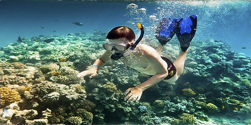 Sharm El Sheikh Short Snorkeling Tour
