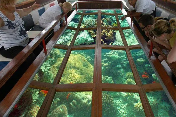 Glass Bottom Boat Excursion in Hurghada