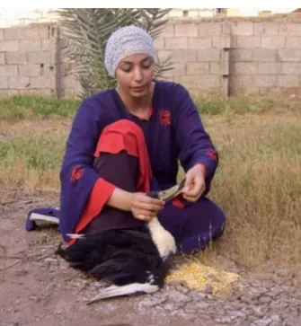 Modern Egypt
