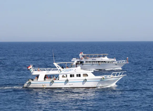 day tours in Marsa Alam