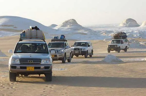 AdventureSafariImagesiwabahariya.webp